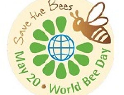 Dr. Marlen Bakalli Massege on World Bee Day