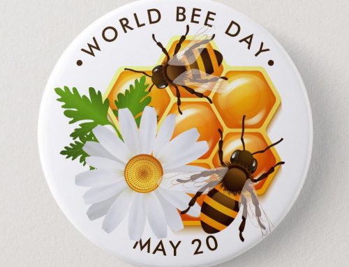 جشن روز جهانی زنبور و نخستین همایش ملی زنبورعسل و صنایع وابسته در محل انستیتو تحقیقات تغذیه ای و صنایع غذایی کشور برگزارشد.