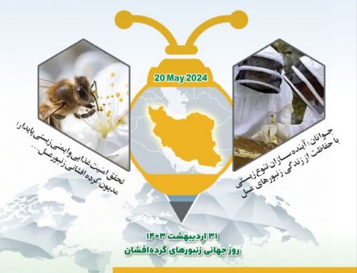 🔶سومین آیین گرامیداشت روز جهانی زنبور با رویکرد معرفی اهمیت زنبورعسل به جوانان برگزار می‌شود.                                   